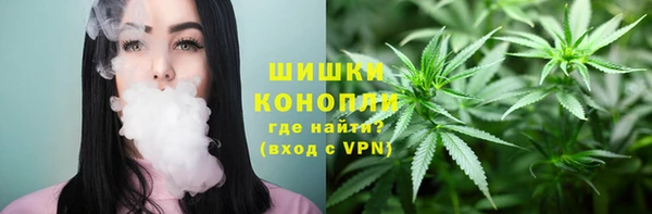 эйфоретик Аркадак