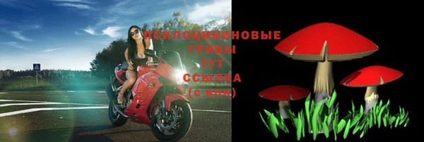 эйфоретик Аркадак