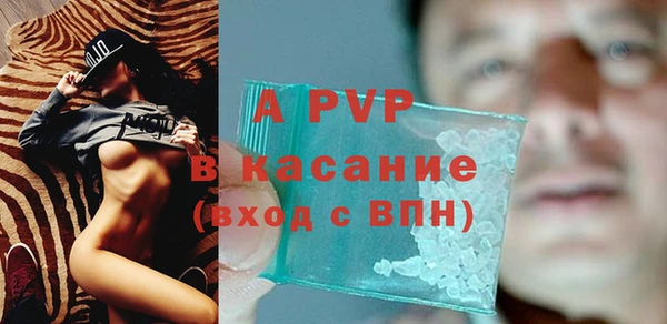 эйфоретик Аркадак