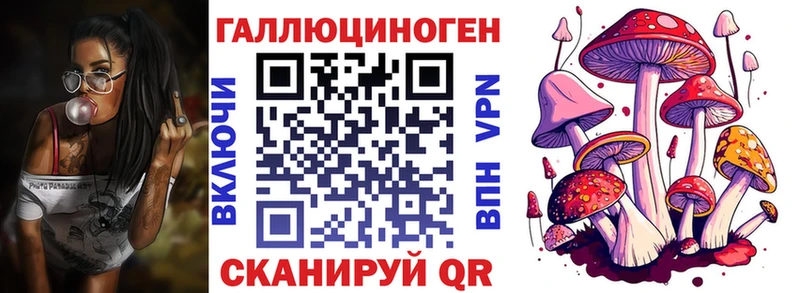 купить наркотики цена  Светлогорск  Псилоцибиновые грибы прущие грибы 